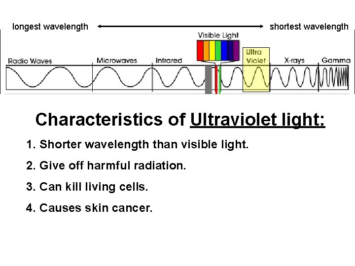 longest wavelength shortest wavelength Characteristics of Ultraviolet light: 1. Shorter wavelength than visible light.