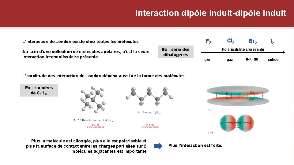 Interaction dipôle induit-dipôle induit Au sein d’une collection de molécules apolaires, c’est la seule