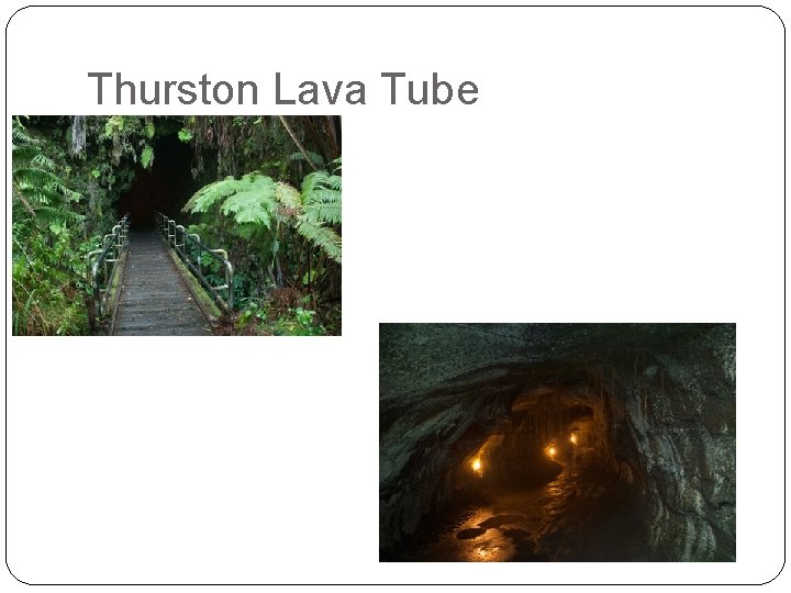 Thurston Lava Tube 