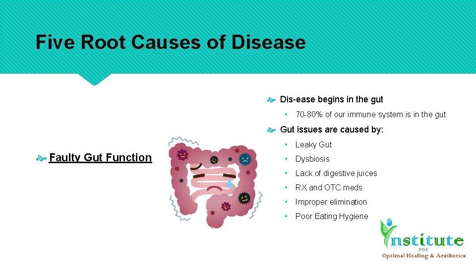 Five Root Causes of Disease Dis-ease begins in the gut • 70 -80% of