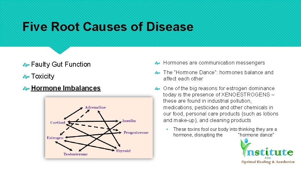 Five Root Causes of Disease Faulty Gut Function Hormones are communication messengers Toxicity The