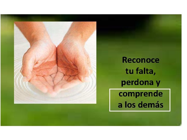 Reconoce tu falta, perdona y comprende a los demás 