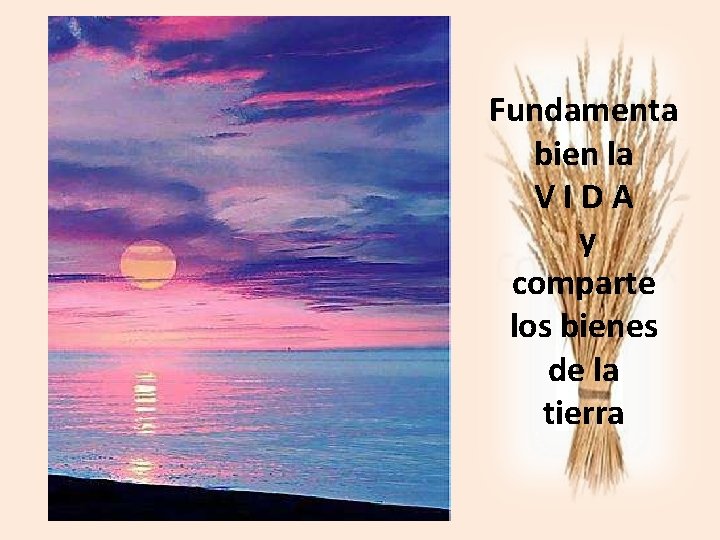 Fundamenta bien la VIDA y comparte los bienes de la tierra 