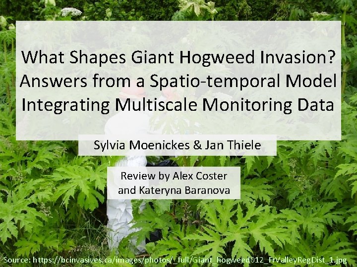 What Shapes Giant Hogweed Invasion? Answers from a Spatio-temporal Model Integrating Multiscale Monitoring Data What Shapes Giant Hogweed Invasion? Answers from a Spatio-temporal Model Integrating Multiscale Monitoring Data