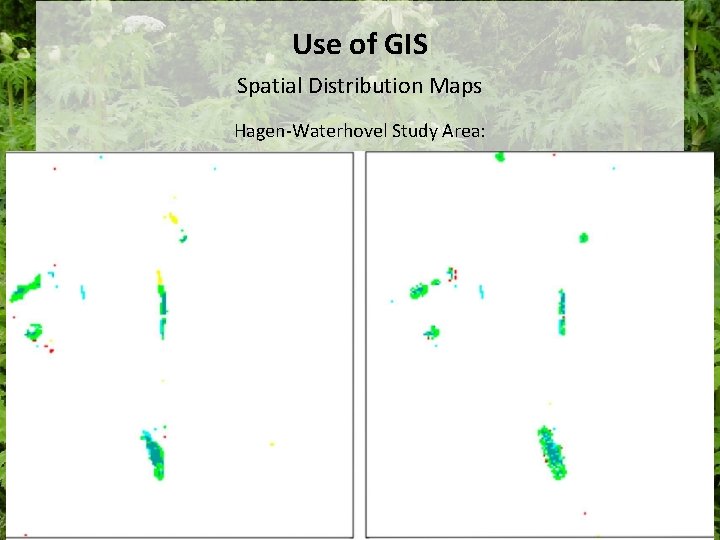 Use of GIS Spatial Distribution Maps Hagen-Waterhovel Study Area: Use of GIS Spatial Distribution Maps Hagen-Waterhovel Study Area: