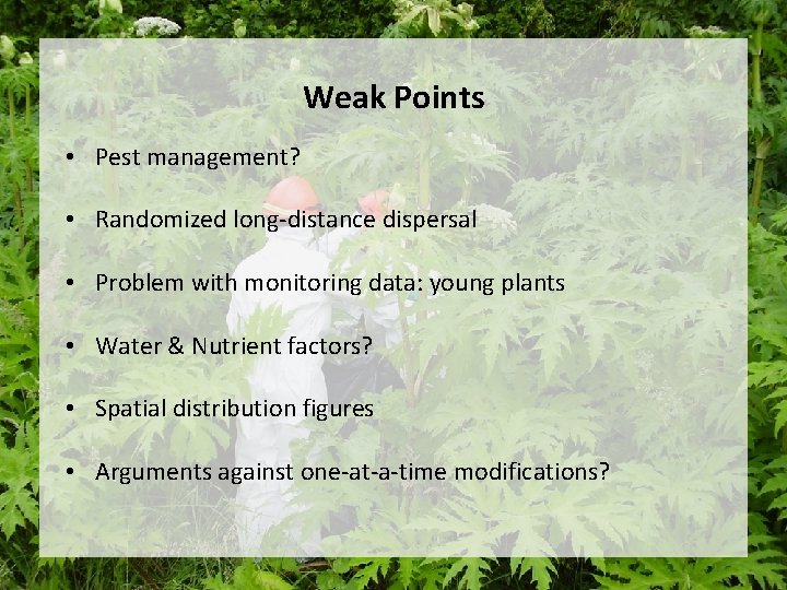 Weak Points • Pest management? • Randomized long-distance dispersal • Problem with monitoring data: Weak Points • Pest management? • Randomized long-distance dispersal • Problem with monitoring data: