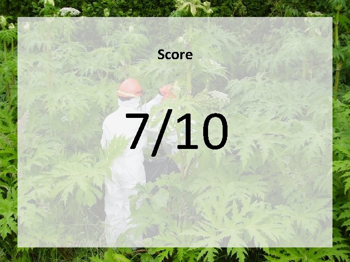 Score 7/10 Score 7/10