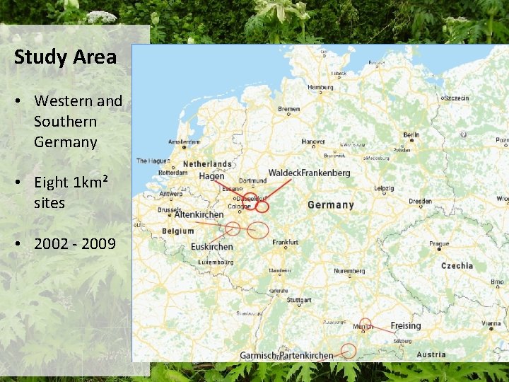 Study Area • Western and Southern Germany • Eight 1 km² sites • 2002 Study Area • Western and Southern Germany • Eight 1 km² sites • 2002