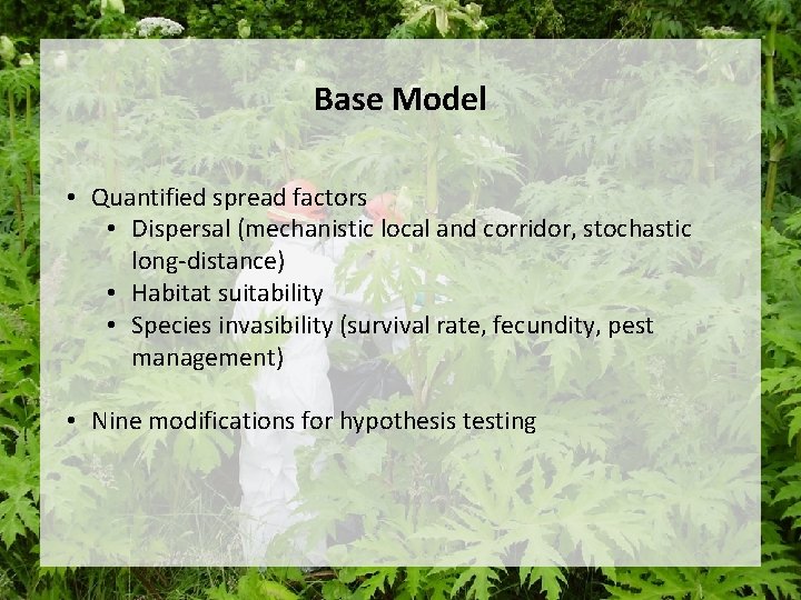 Base Model • Quantified spread factors • Dispersal (mechanistic local and corridor, stochastic long-distance) Base Model • Quantified spread factors • Dispersal (mechanistic local and corridor, stochastic long-distance)