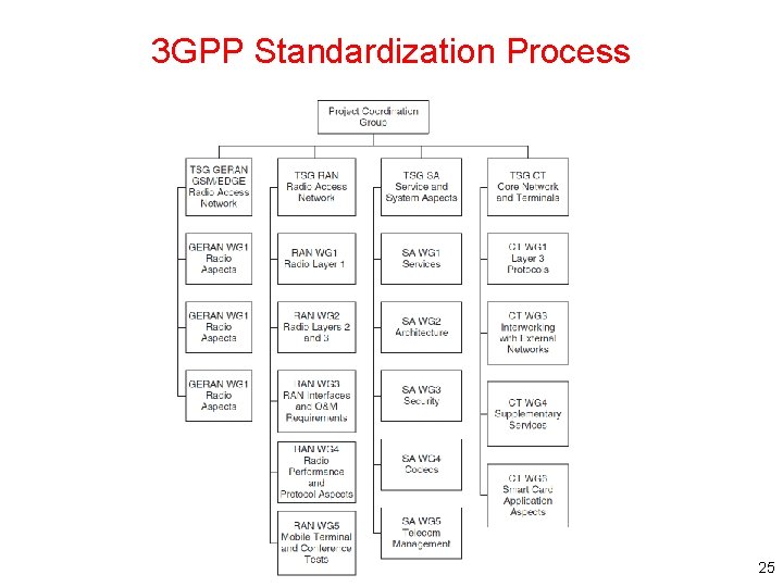 3 GPP Standardization Process 25 