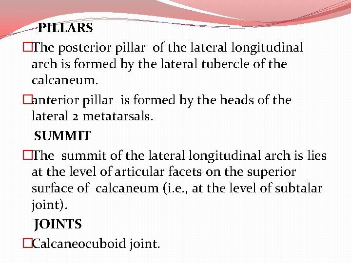 PILLARS �The posterior pillar of the lateral longitudinal arch is formed by the lateral