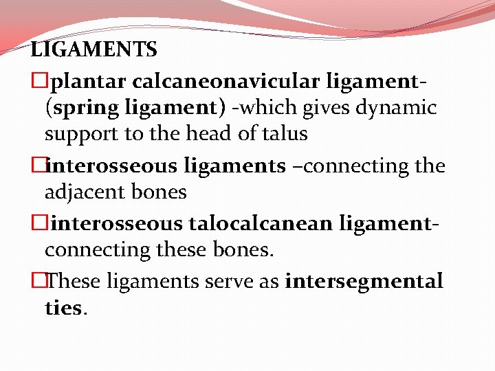 LIGAMENTS �plantar calcaneonavicular ligament(spring ligament) -which gives dynamic support to the head of talus