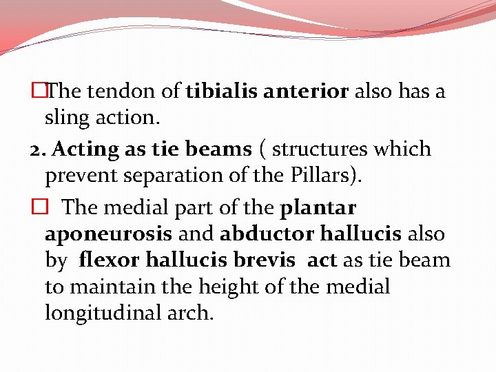 �The tendon of tibialis anterior also has a sling action. 2. Acting as tie