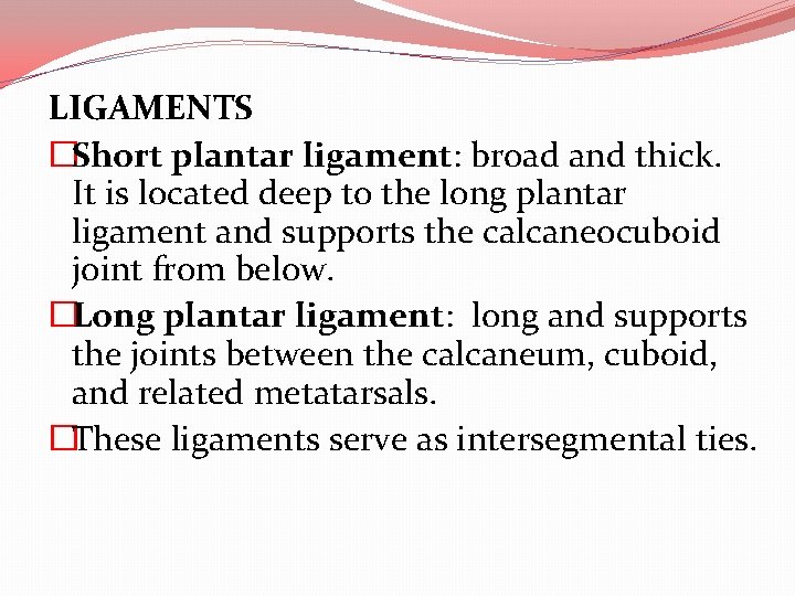 LIGAMENTS �Short plantar ligament: broad and thick. It is located deep to the long