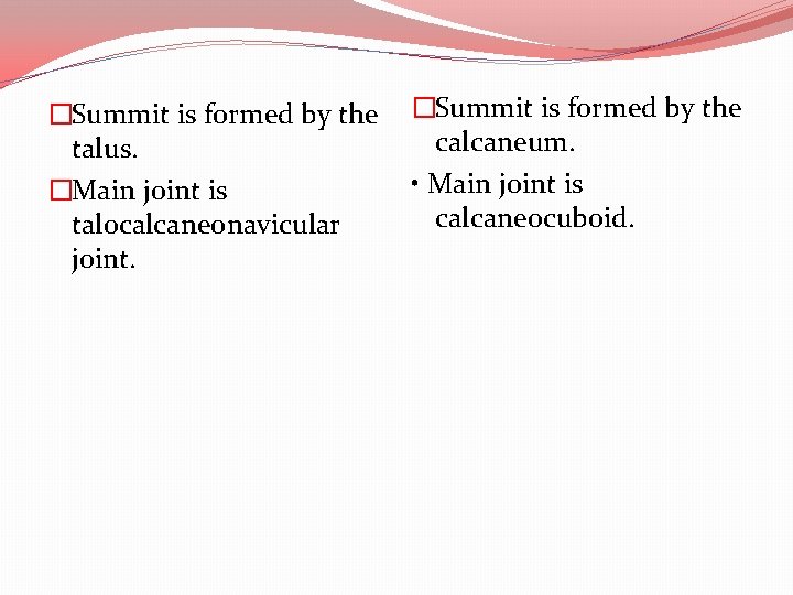 �Summit is formed by the talus. �Main joint is talocalcaneonavicular joint. �Summit is formed