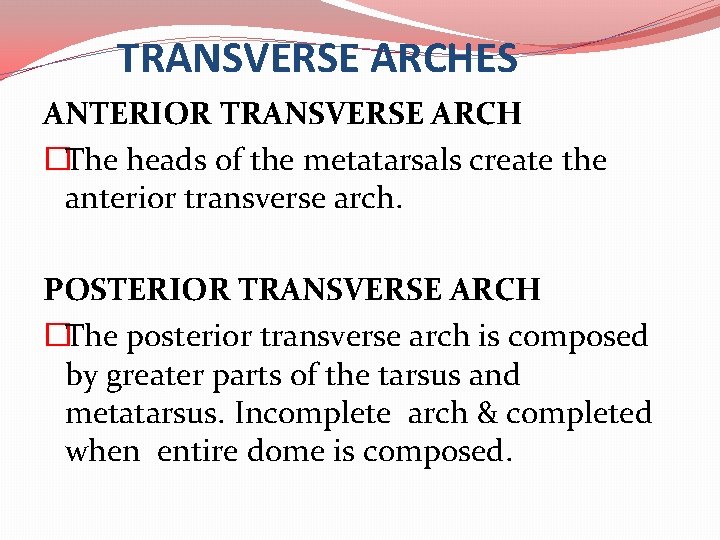 TRANSVERSE ARCHES ANTERIOR TRANSVERSE ARCH �The heads of the metatarsals create the anterior transverse