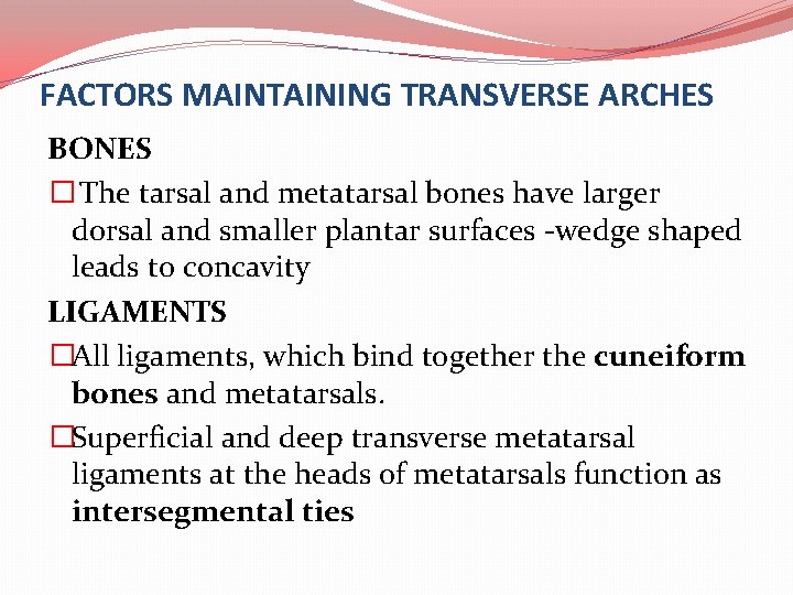 FACTORS MAINTAINING TRANSVERSE ARCHES BONES � The tarsal and metatarsal bones have larger dorsal