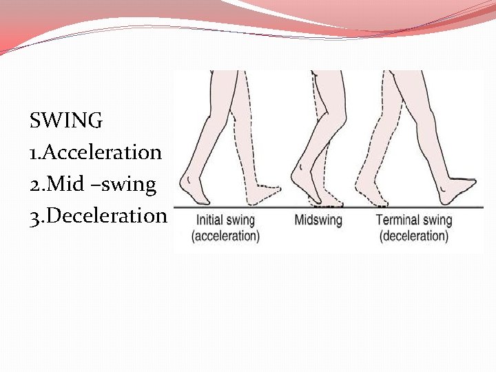 SWING 1. Acceleration 2. Mid –swing 3. Deceleration 