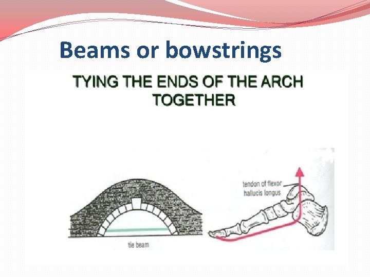 Beams or bowstrings 