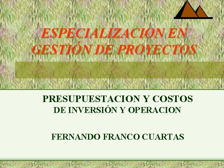 ESPECIALIZACION EN GESTIÓN DE PROYECTOS PRESUPUESTACION Y COSTOS DE INVERSIÓN Y OPERACION FERNANDO FRANCO