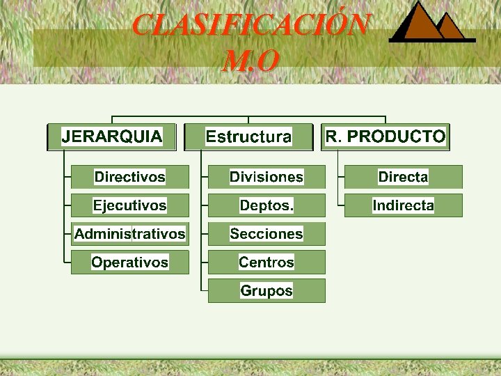 CLASIFICACIÓN M. O 