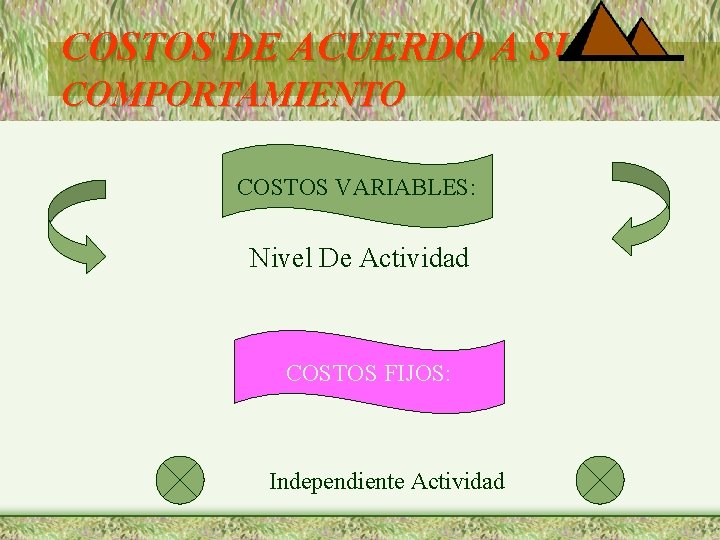 COSTOS DE ACUERDO A SU COMPORTAMIENTO COSTOS VARIABLES: Nivel De Actividad COSTOS FIJOS: Independiente