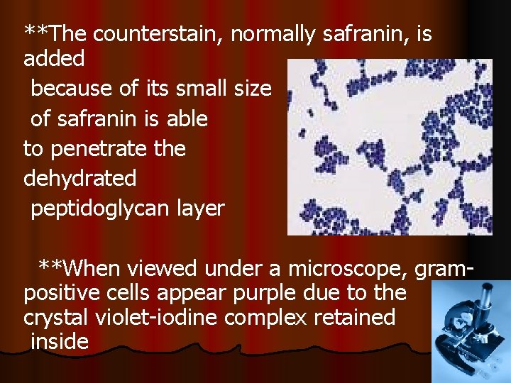 **The counterstain, normally safranin, is added because of its small size of safranin is