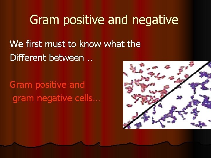 Gram positive and negative We first must to know what the Different between. .