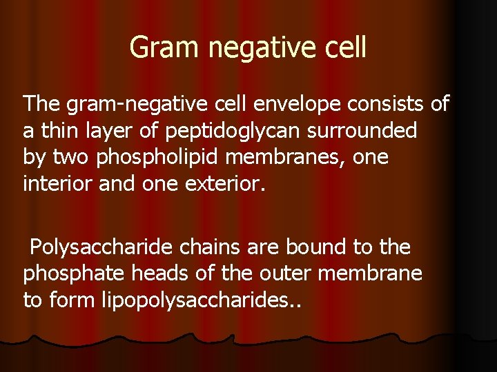 Gram negative cell The gram-negative cell envelope consists of a thin layer of peptidoglycan