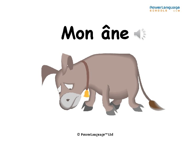 Mon âne © Power. Language™ Ltd 