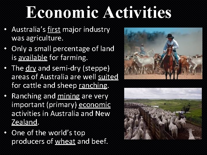 Economic Activities • Australia’s first major industry was agriculture. • Only a small percentage