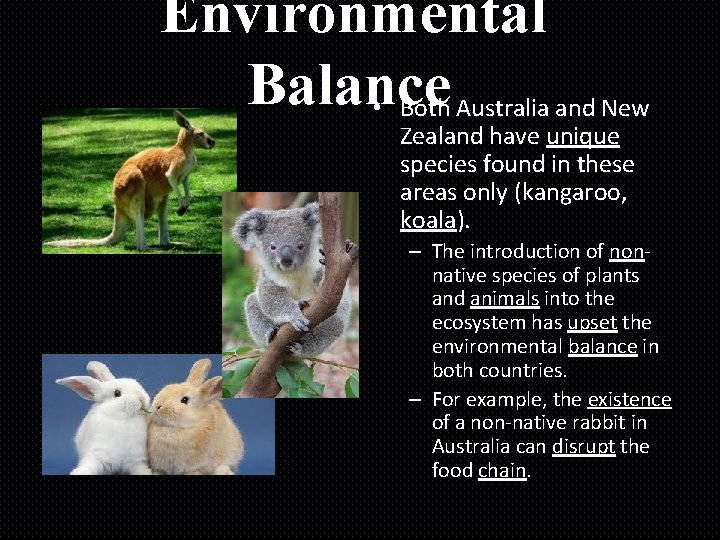Environmental Balance • Both Australia and New Zealand have unique species found in these