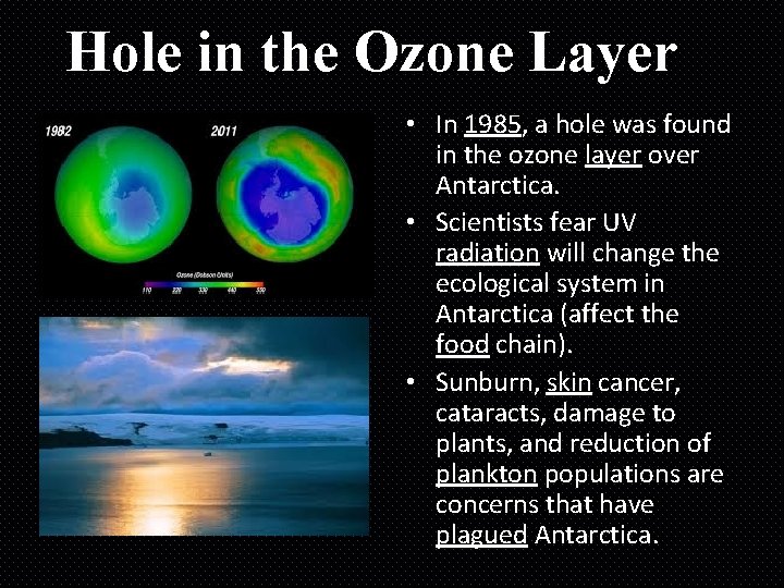 Hole in the Ozone Layer • In 1985, a hole was found in the