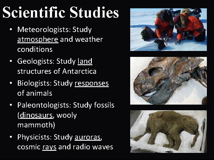 Scientific Studies • Meteorologists: Study atmosphere and weather conditions • Geologists: Study land structures