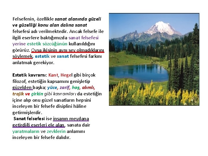 Felsefenin, özellikle sanat alanında güzeli ve güzelliği konu alan dalına sanat felsefesi adı verilmektedir.