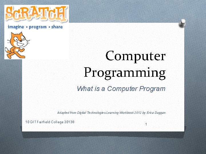Computer Programming What is a Computer Program Adapted