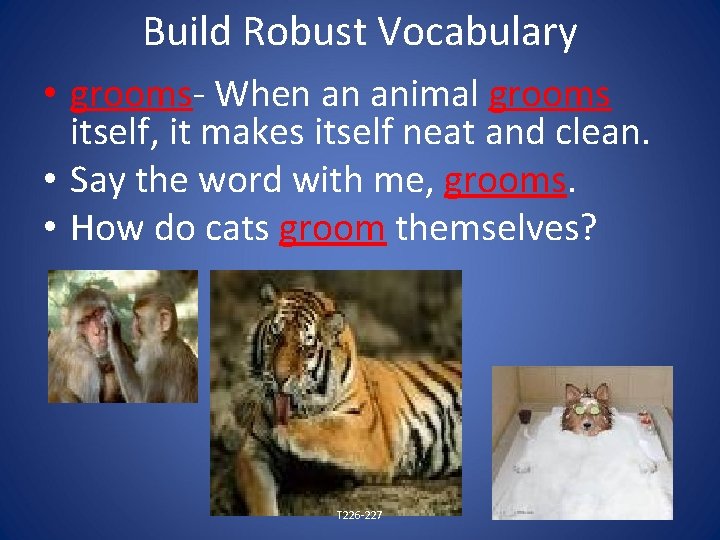 Build Robust Vocabulary • grooms- When an animal grooms itself, it makes itself neat