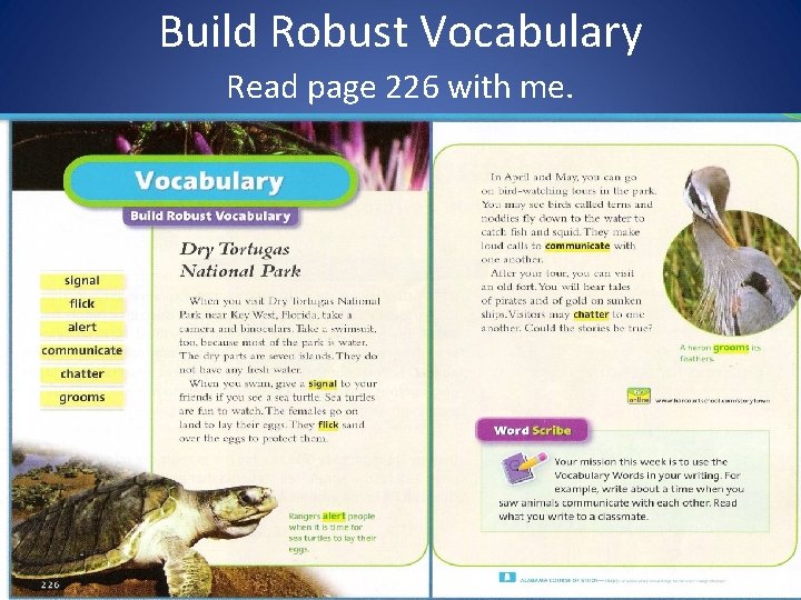 Build Robust Vocabulary Read page 226 with me. T 226 -227 