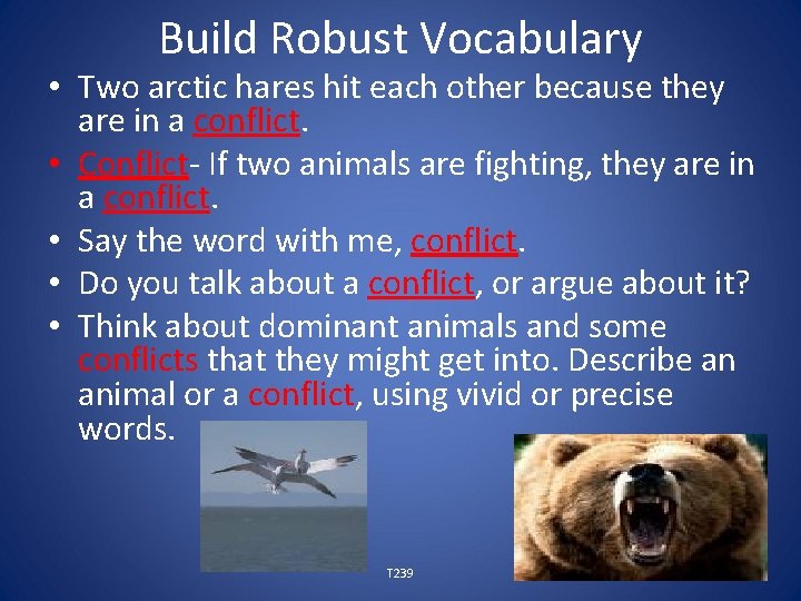 Build Robust Vocabulary • Two arctic hares hit each other because they are in