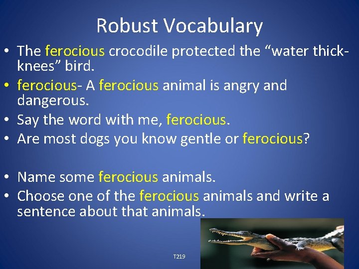Robust Vocabulary • The ferocious crocodile protected the “water thickknees” bird. • ferocious- A
