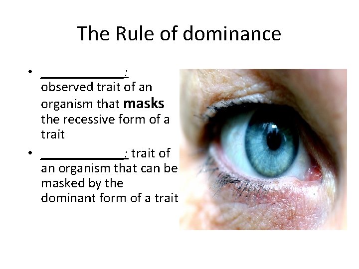 The Rule of dominance • ______: observed trait of an organism that masks the