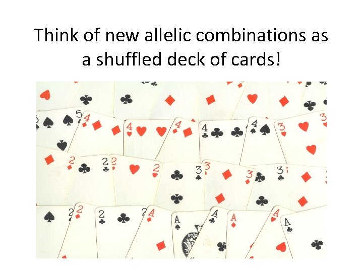Think of new allelic combinations as a shuffled deck of cards! 