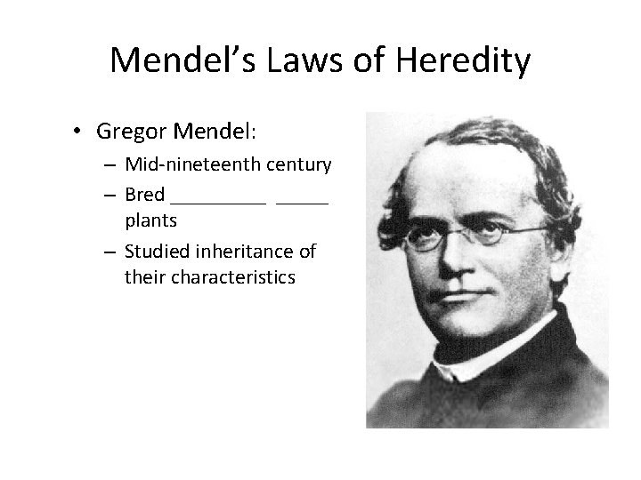 Mendel’s Laws of Heredity • Gregor Mendel: – Mid-nineteenth century – Bred _____ plants