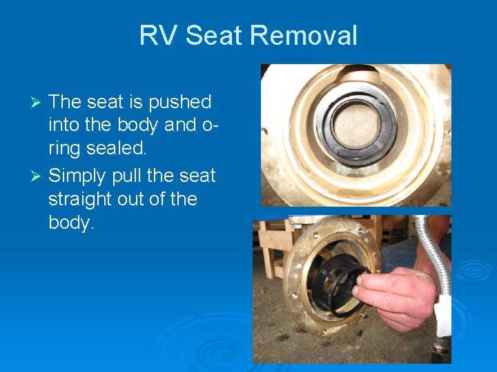 RV Seat Removal The seat is pushed into the body and oring sealed. Ø