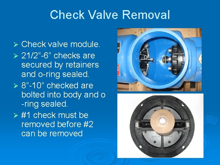 Check Valve Removal Check valve module. Ø 21/2”-6” checks are secured by retainers and