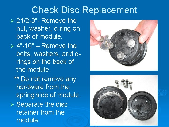 Check Disc Replacement 21/2 -3”- Remove the nut, washer, o-ring on back of module.