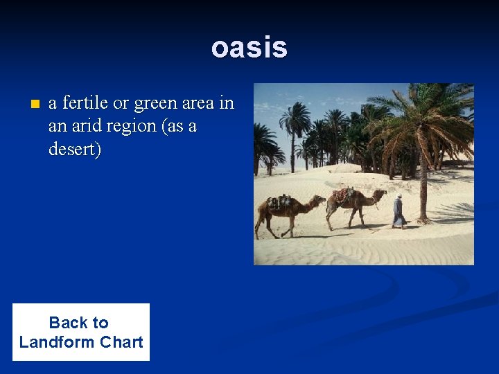 oasis n a fertile or green area in an arid region (as a desert)