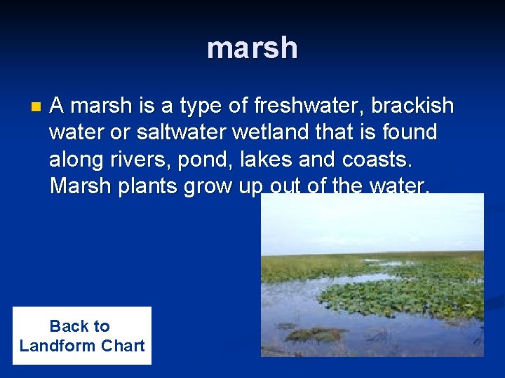 marsh n A marsh is a type of freshwater, brackish water or saltwater wetland