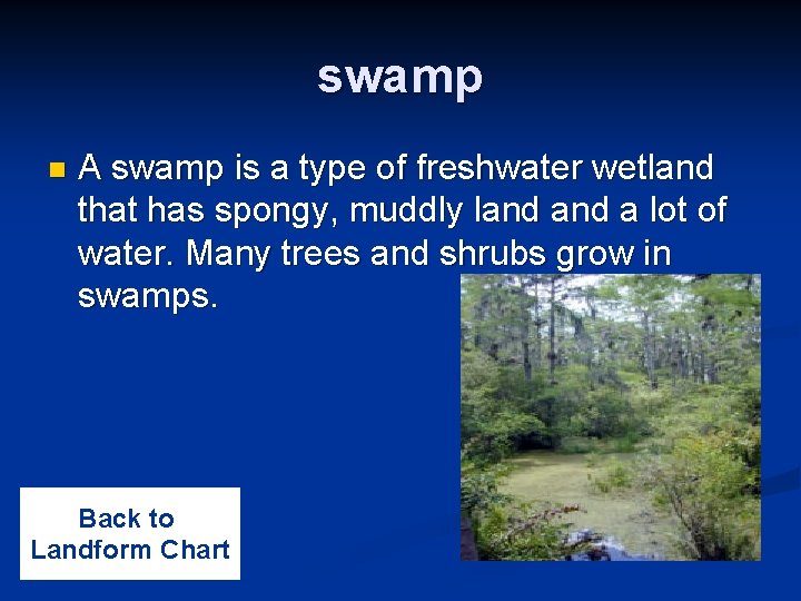 swamp n A swamp is a type of freshwater wetland that has spongy, muddly