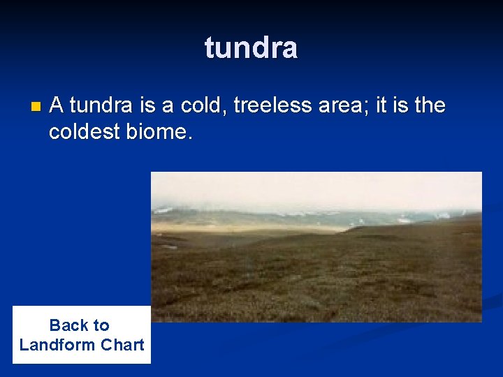 tundra n A tundra is a cold, treeless area; it is the coldest biome.